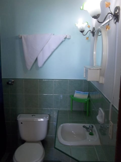 Room, 1 Double Bed | Bathroom | Shower, free toiletries, hair dryer, towels