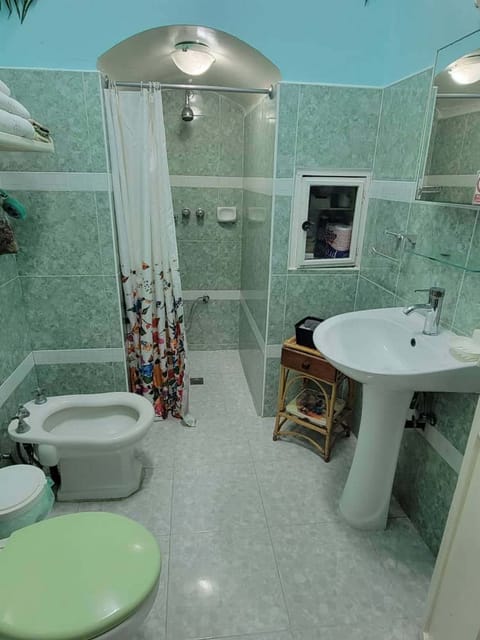 Double Room | Bathroom | Shower, hair dryer, towels