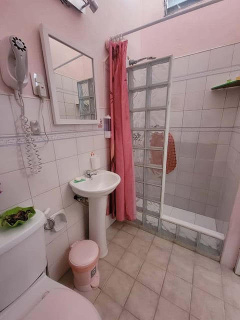 Double Room | Bathroom | Shower, hair dryer, towels