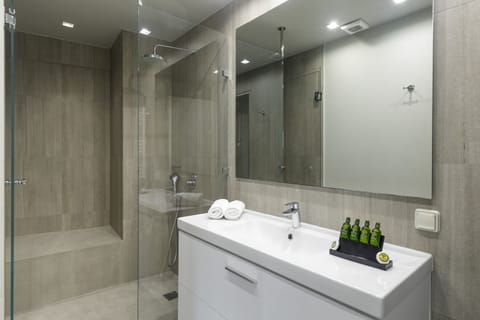 Basic Suite | Bathroom | Shower, free toiletries, hair dryer, towels