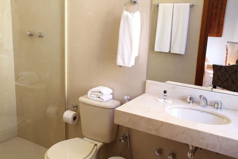 Shower, free toiletries, towels