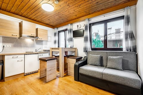 Apartment (4 Personen incl. Summer Card) | Soundproofing, free WiFi