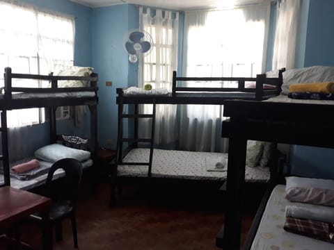 6 Beds in Mixed Dormitory | Desk