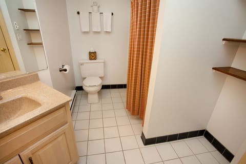 Premier Studio Suite | Bathroom | Shower, free toiletries, hair dryer, towels