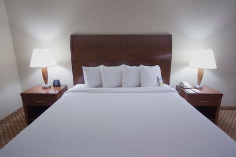 Room, 1 King Bed, Accessible | In-room safe, desk, blackout drapes, iron/ironing board