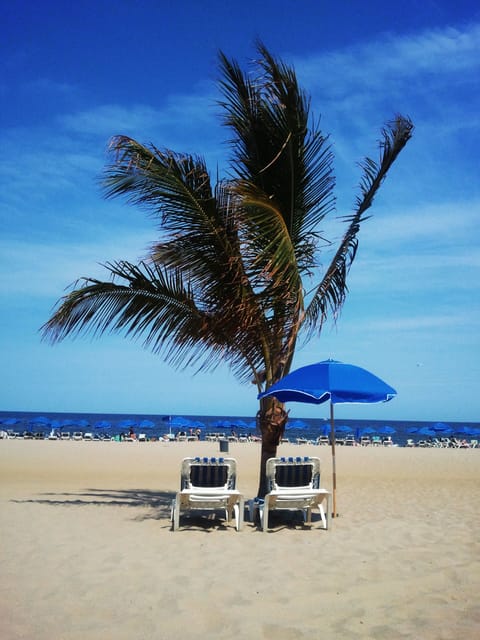 On the beach, sun loungers, beach umbrellas, beach towels