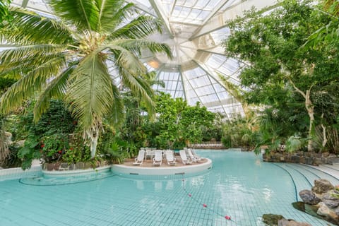 Indoor pool, seasonal outdoor pool, sun loungers