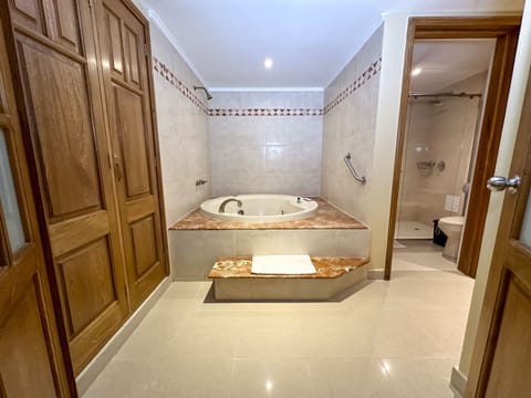 Executive Suite | Bathroom | Free toiletries, hair dryer, towels, soap