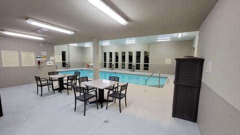 Indoor pool, sun loungers