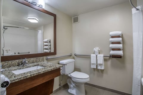 Room, 1 King Bed, Accessible, Non Smoking | Bathroom | Hair dryer, towels
