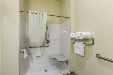 Suite, 1 King Bed with Sleeper Sofa, Accessible Roll in Shower, Non Smoking | Bathroom | Free toiletries, hair dryer, towels, soap