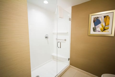 Combined shower/tub, free toiletries, hair dryer, towels