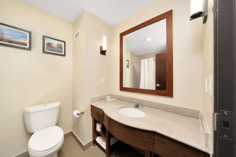 Suite, 1 King Bed with Sofa bed, Non Smoking | Bathroom | Free toiletries, hair dryer, towels, soap