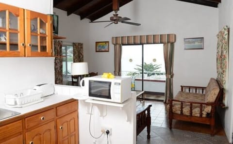 Standard Apartment, 1 Bedroom, Ocean View | In-room safe, soundproofing, iron/ironing board, free WiFi