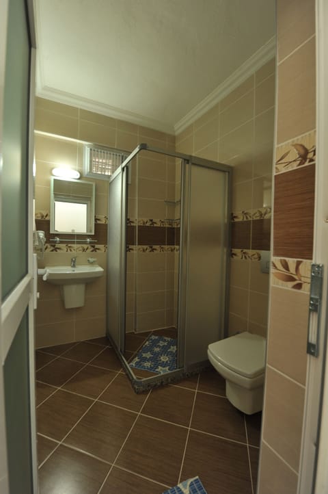 Standard Double or Twin Room | Bathroom | Shower, hair dryer, slippers