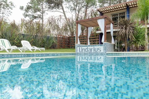 Seasonal outdoor pool, pool umbrellas, sun loungers