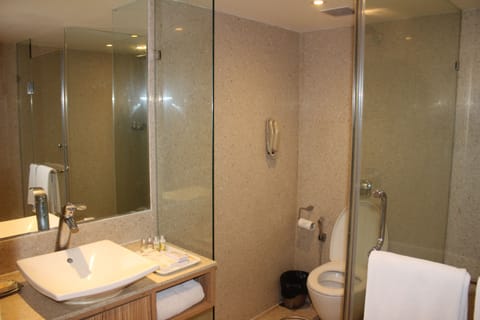 Premium Room | Bathroom | Free toiletries, hair dryer, bathrobes, slippers