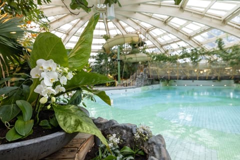 Indoor pool, outdoor pool