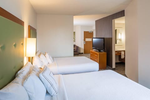 Suite, Multiple Beds, Non Smoking | Premium bedding, in-room safe, desk, laptop workspace