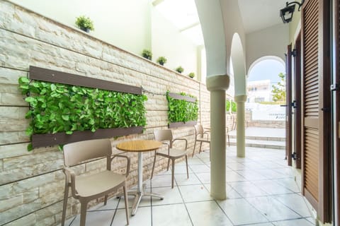 Basic Double Room | Terrace/patio