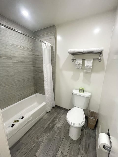 Combined shower/tub, eco-friendly toiletries, hair dryer, towels