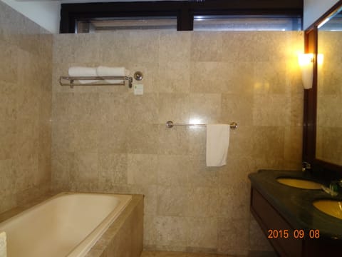 Two Bedroom Suite | Bathroom | Separate tub and shower, spring water tub, free toiletries, hair dryer