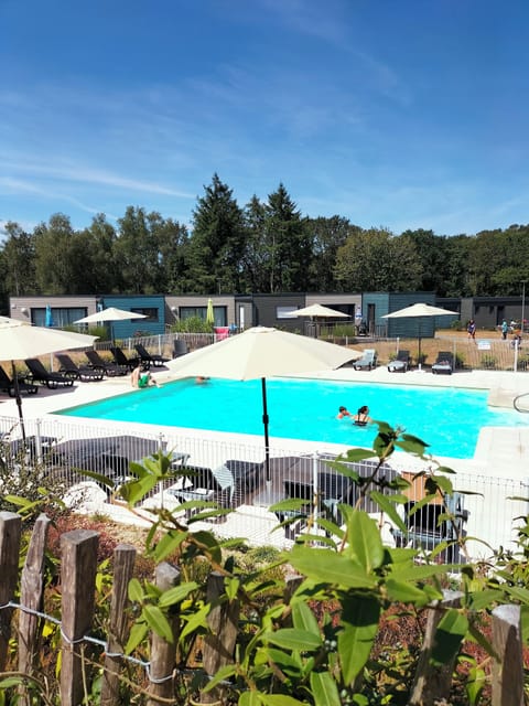 Outdoor pool, pool umbrellas, sun loungers