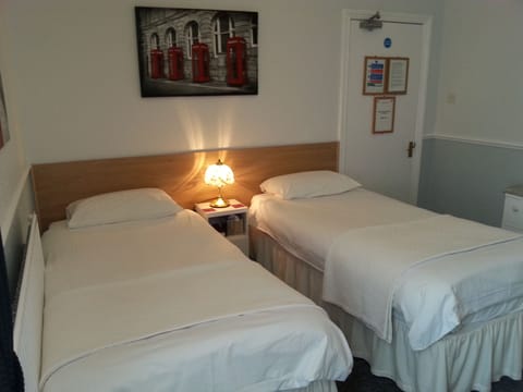 Double or Twin Room, 1 Double or 2 Twin Beds, Ensuite | Premium bedding, iron/ironing board, free WiFi, bed sheets