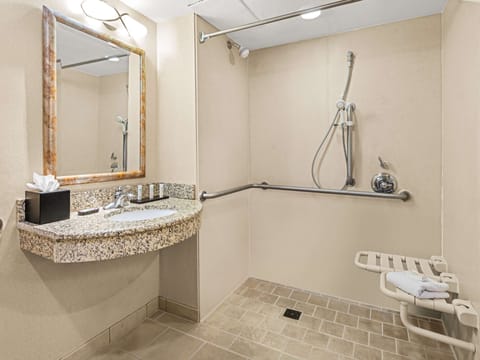 Suite, Accessible, Non Smoking | Bathroom shower