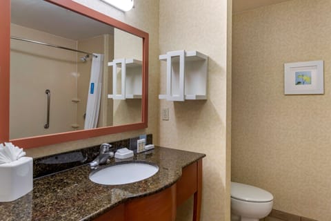 Room, 1 King Bed | Bathroom | Combined shower/tub, free toiletries, hair dryer, bathrobes