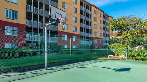 Basketball court