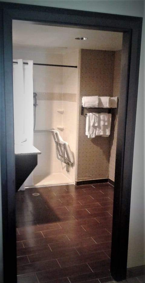 Combined shower/tub, free toiletries, hair dryer, towels