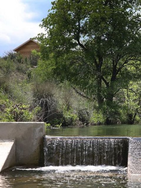 Signature Cabin, 1 Bedroom, Hot Tub, Hill View | View from room