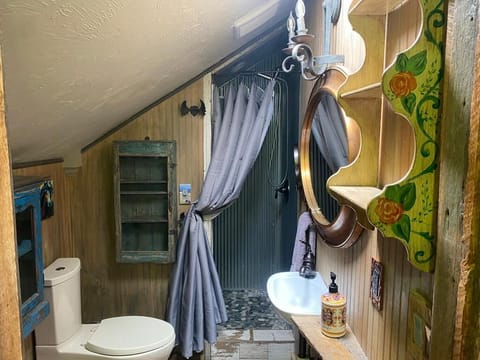 Studio Suite, Balcony, Mountain View | Bathroom | Shower, hydromassage showerhead, free toiletries, hair dryer