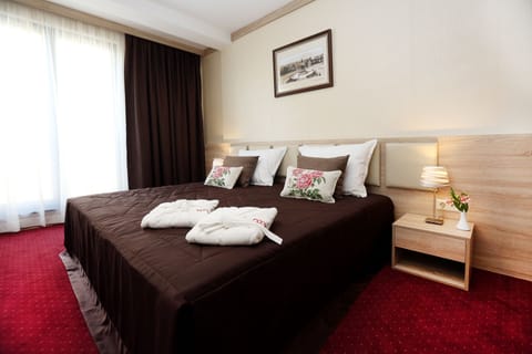Deluxe Double Room | Minibar, in-room safe, soundproofing, iron/ironing board