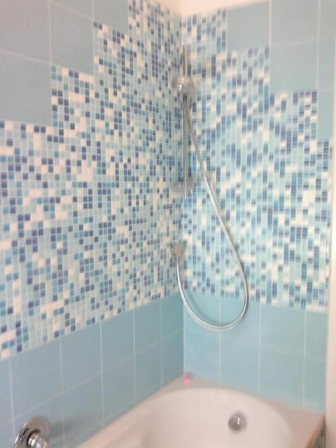 Combined shower/tub, free toiletries, hair dryer, bidet