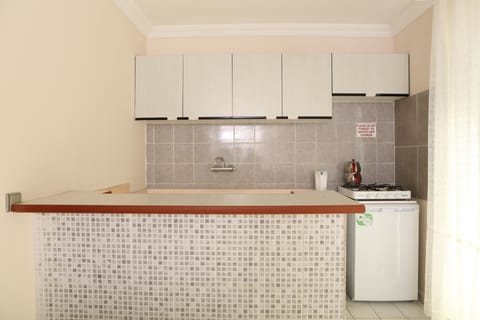 Standard Apartment, 2 Bedrooms | Private kitchen | Fridge, stovetop, electric kettle, cookware/dishes/utensils