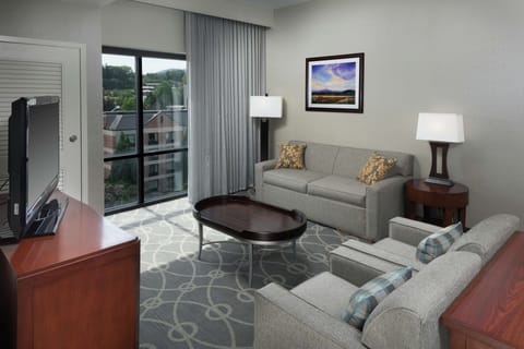 Premium Suite, Non Smoking | Living area | 37-inch flat-screen TV with cable channels, TV, video-game console