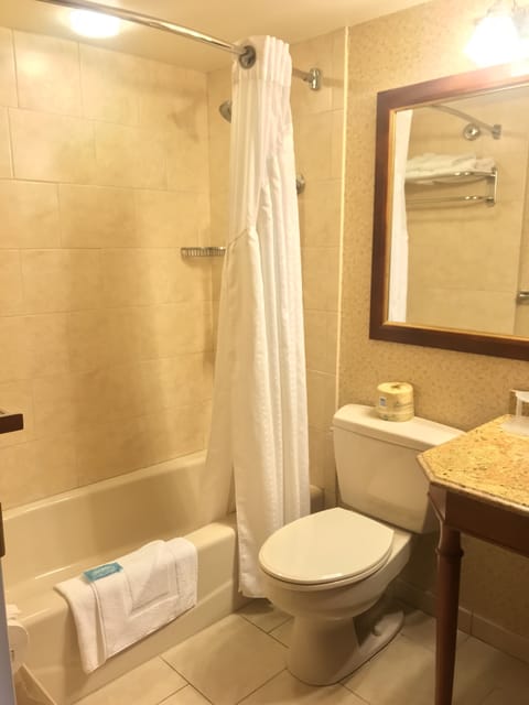 Combined shower/tub, free toiletries, hair dryer, towels