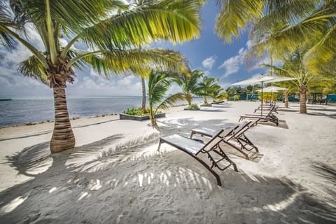 On the beach, white sand, free beach cabanas, sun loungers