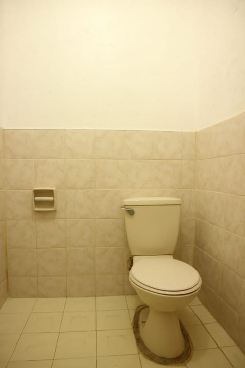 Standard Double Room | Bathroom | Shower, free toiletries, hair dryer, towels