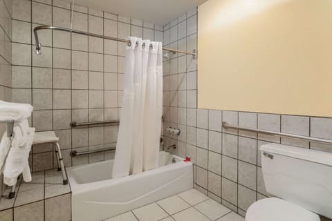 Combined shower/tub, eco-friendly toiletries, hair dryer, towels