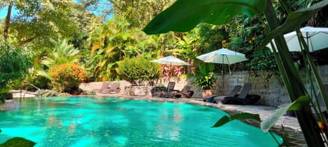 Outdoor pool, pool umbrellas, sun loungers