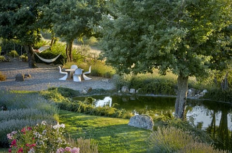 The pond and lounge area