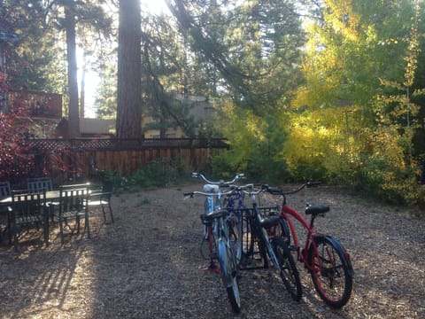 Charming Tahoe Cabin backyard with 4 adult bikes ready for your use!