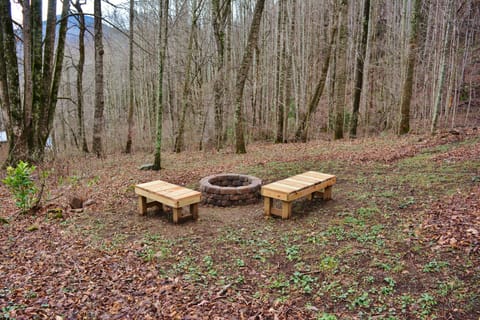 Firepit for roasting marshmallows