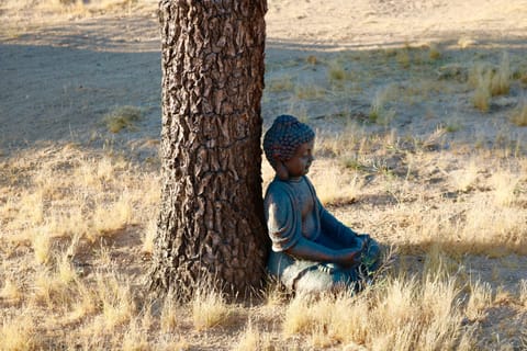 Peaceful desert retreat