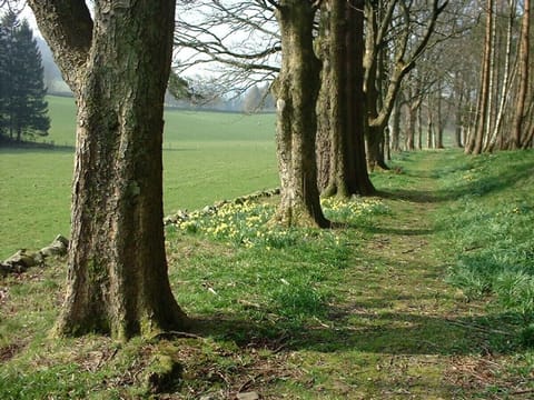 Spring at Merlindale