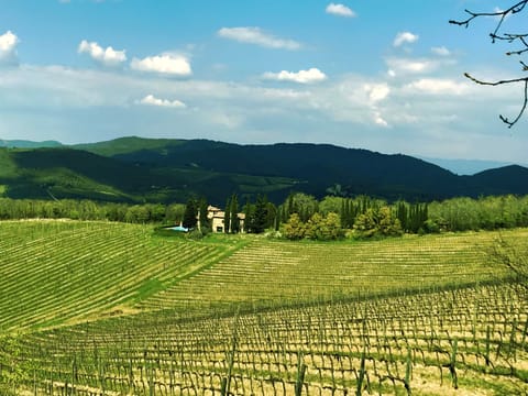 Villa LisiDor location between Chianti vineyards 