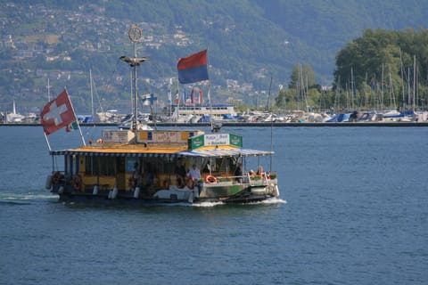 Lake Maggiore near Locarno